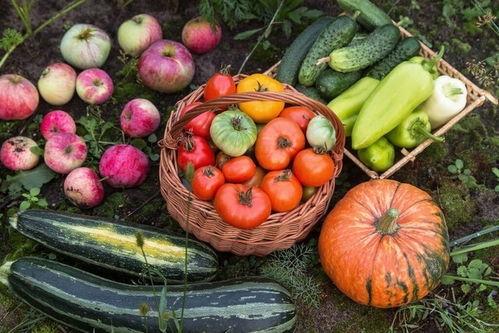 五一吃瓜网最新内容,热门事件背后的真相与内幕