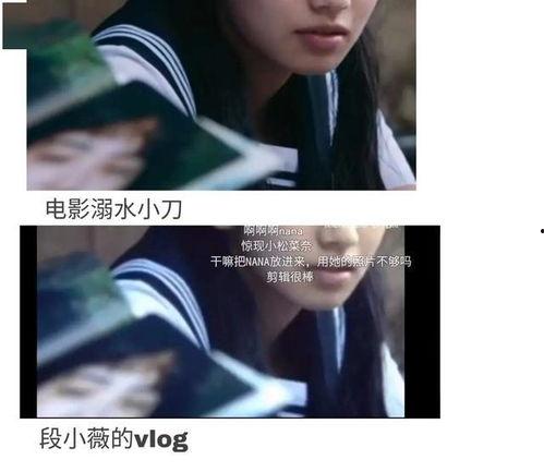 娱乐圈吃瓜教主小说