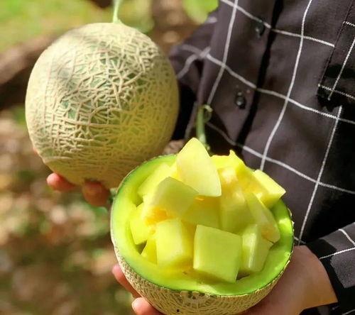 娱乐圈有什么瓜可以吃,揭秘明星幕后故事与精彩瞬间