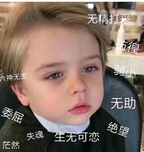 微信吃瓜的表情包的意思是