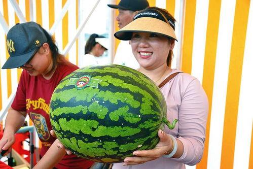 娱乐一下吃瓜,吃瓜群众揭秘明星幕后故事