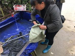 五一吃瓜群众视频,揭秘热门视频背后的故事