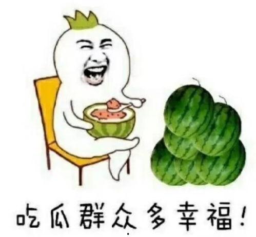 娱乐吃瓜小飞